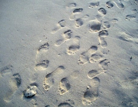 By Bertha Rijke - Footprints 